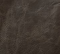 Statesville, Wolf Grey